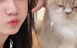 51cg吃瓜网热议：热点话题简直比脑筋急转弯还好玩！快点开链接！