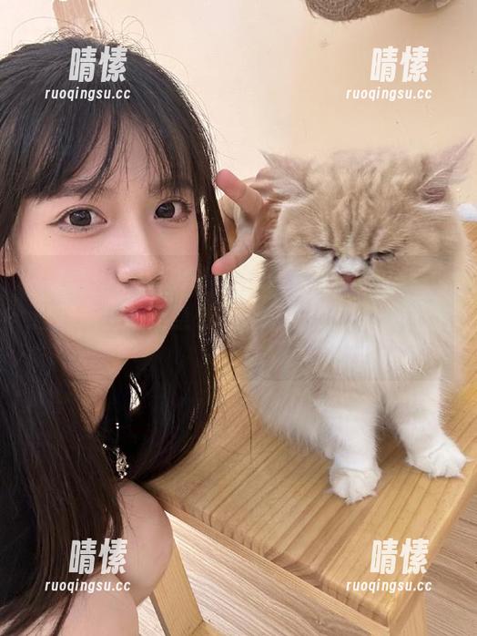 51cg吃瓜网 51cg吃瓜网热议:热点话题简直比脑筋急转弯还好玩!快点开链接!