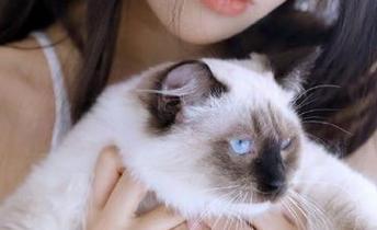 视频更新不间断，五一吃瓜官网快来围观！你忍心错过吗？