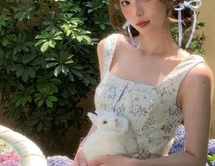 喜欢八卦的小伙伴们快来！免费吃瓜网站分享更新合集！