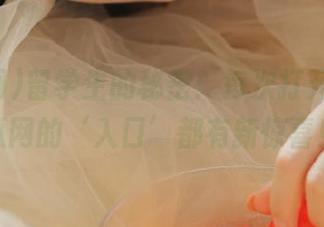 留学生的秘密：每次打开pdf吃瓜网的‘入口’都有新惊喜！