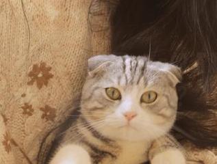 奇怪，吃瓜网app的资源怎么感觉比八卦更吸引人？