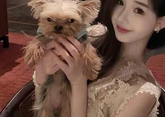 资源大搜查！扒哥黑料软件教你如何成为八卦大神