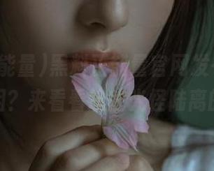 黑料正能量官网发布，谁在操控真相？来看看这些光怪陆离的内幕！